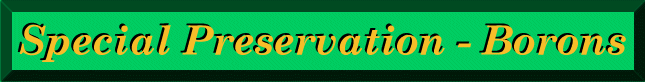 [-Special Preservation - Borons-]
