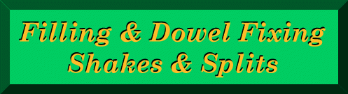 [-Filling & Dowel Fixing - Shakes & Splits-]