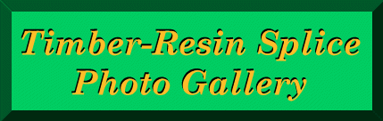 [-TRS Photo Gallery-]